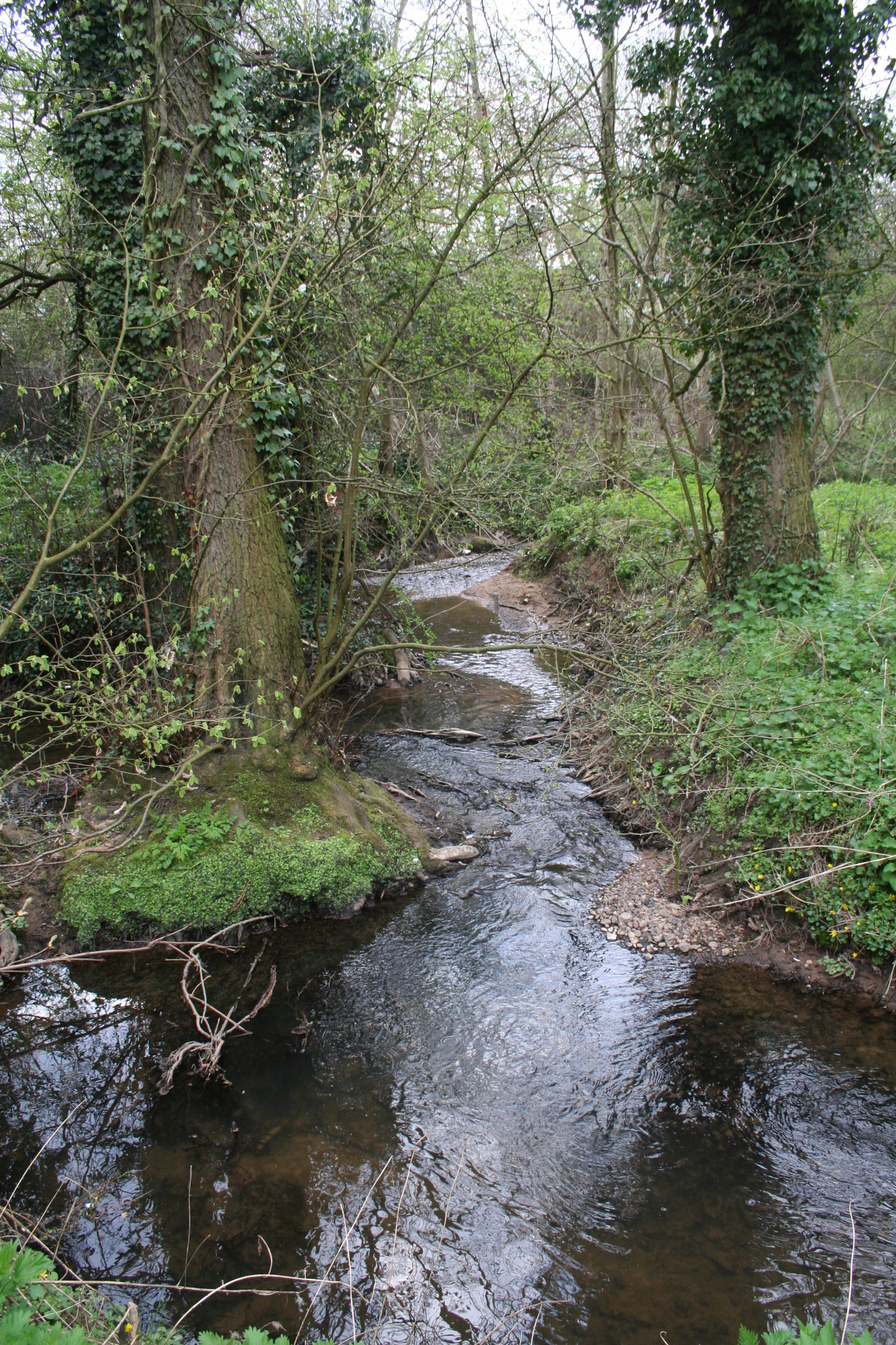 Pickford Brook